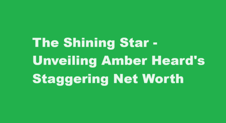 amber heard net worth