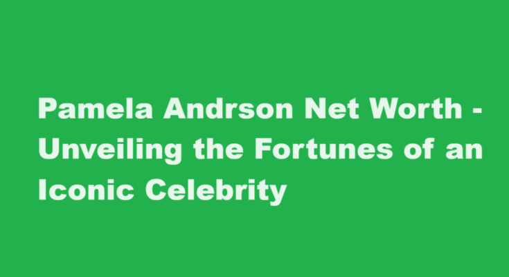 pamela andrson net worth