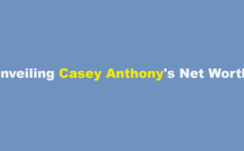 casey anthony net worth