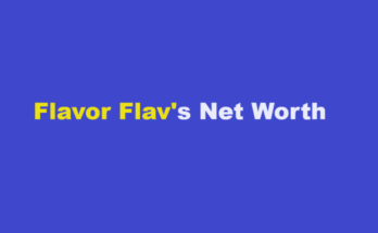 flavor flav net worth