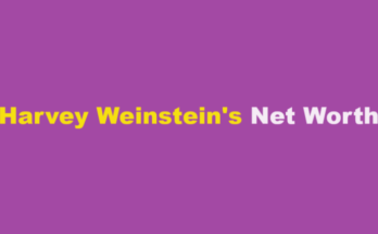 harvey weinstein net worth