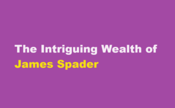 james spader net worth