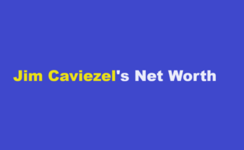 jim caviezel net worth