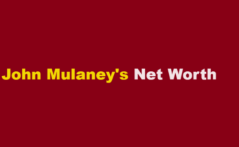 john mulaney net worth