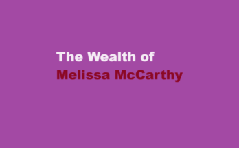 melissa mccarthy net worth