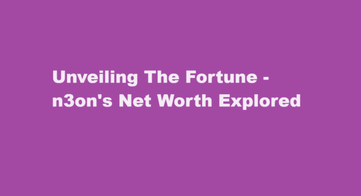 n3on net worth
