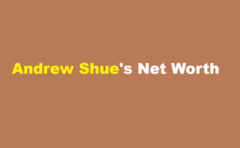 andrew shue net worth