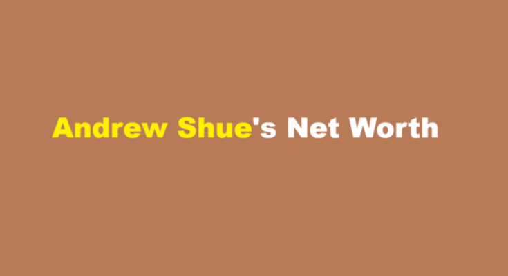 andrew shue net worth