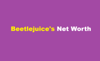 beetlejuice net worth