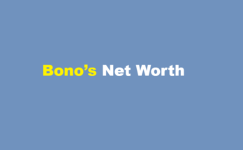 bono net worth