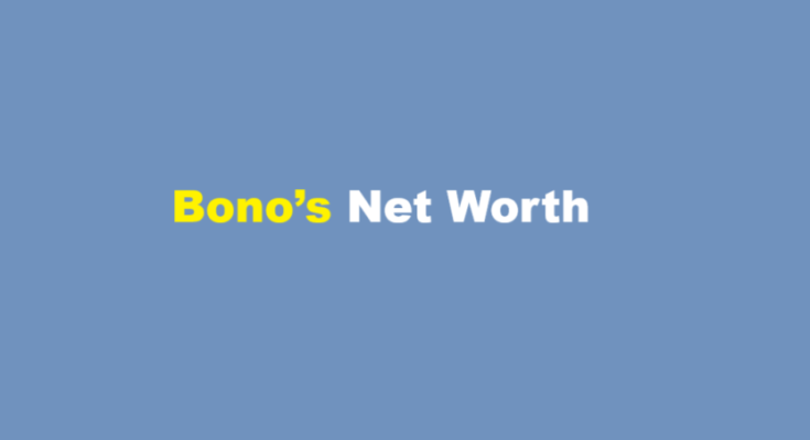 bono net worth