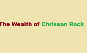 chrisean rock net worth
