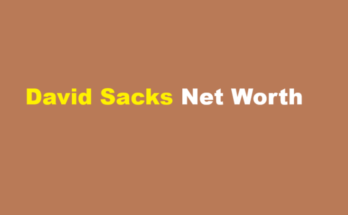 david sacks net worth