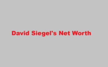 david siegel net worth