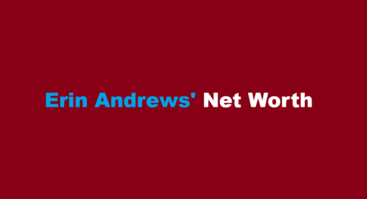 erin andrews net worth