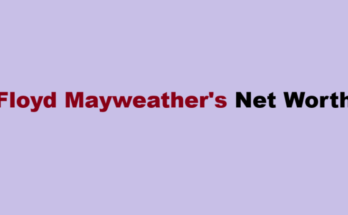 floyd mayweather net worth