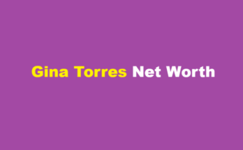 gina torres net worth