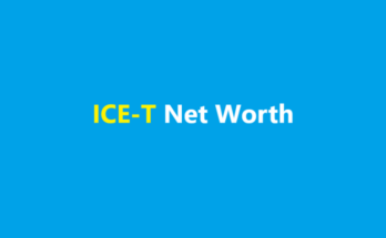 ice-t net worth