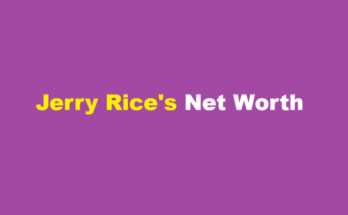 jerry rice net worth