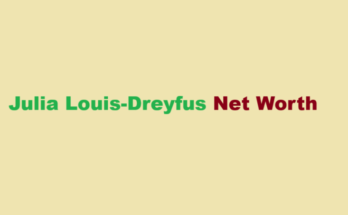 julia louis dreyfus net worth