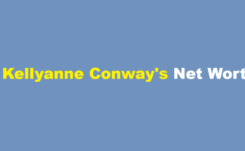 kellyanne conway net worth