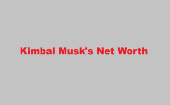 kimbal musk net worth