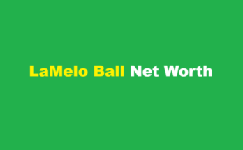 lamelo ball net worth