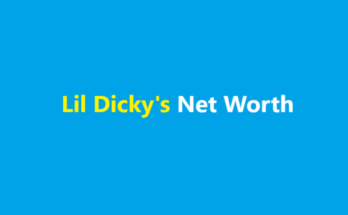 lil dicky net worth