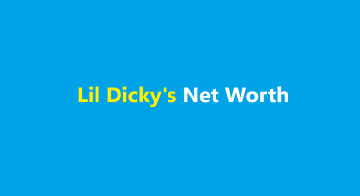 lil dicky net worth