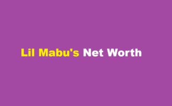 lil mabu net worth