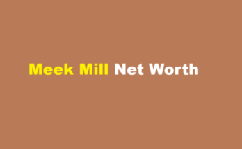 meek mill net worth