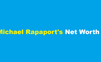 michael rapaport net worth