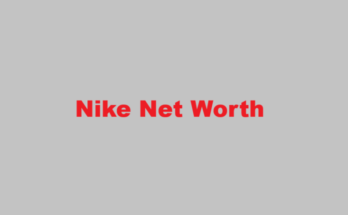 nike net worth