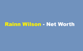 rainn wilson net worth