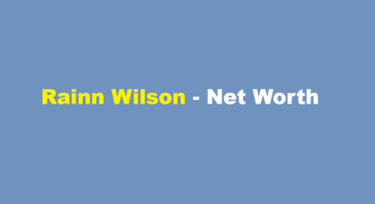 rainn wilson net worth