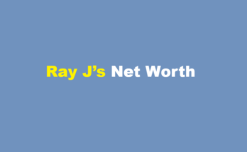 ray j net worth