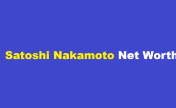 satoshi nakamoto net worth