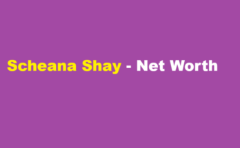 scheana shay net worth
