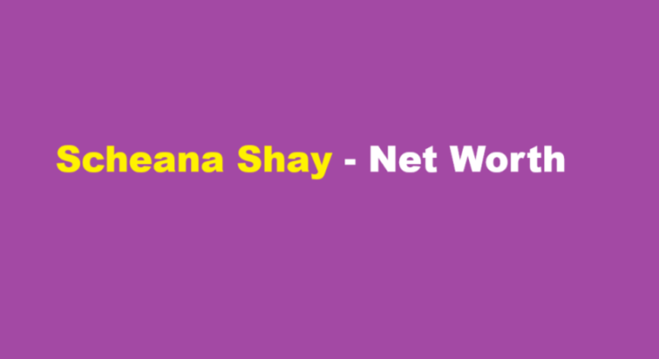 scheana shay net worth