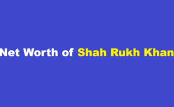 shahrukh khan net worth