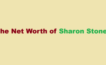 sharon stone net worth