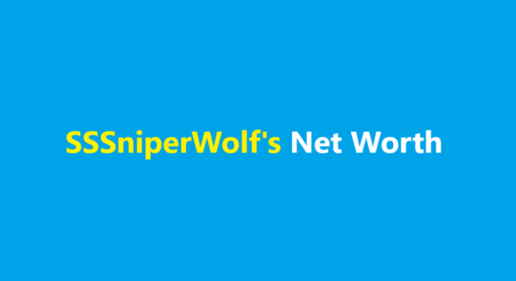 sssniperwolf net worth