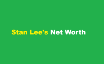 stan lee net worth