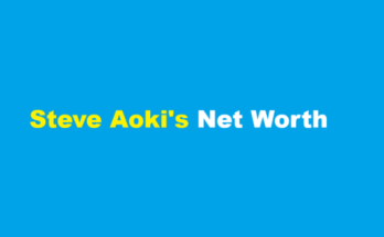 steve aoki net worth