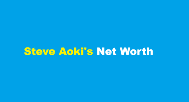 steve aoki net worth