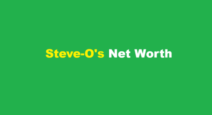 steve o net worth