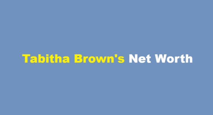 tabitha brown net worth