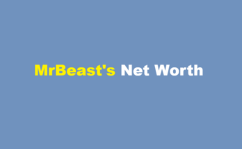 what is mrbeast net worth